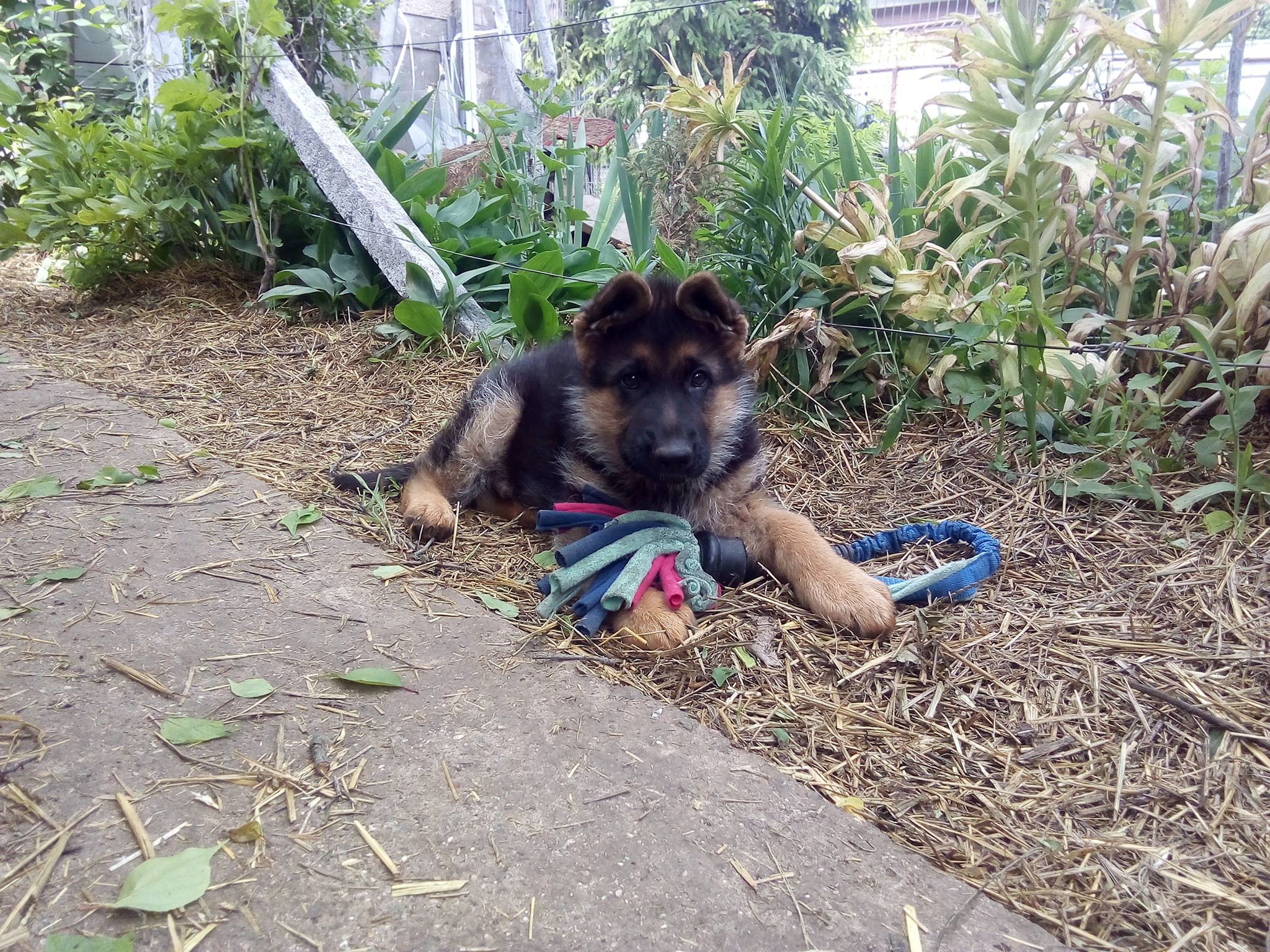 Cent_2 month 10 days_3.jpg